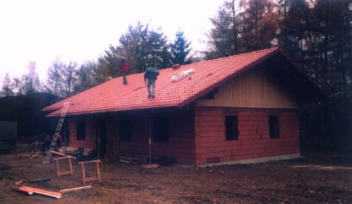Bau1